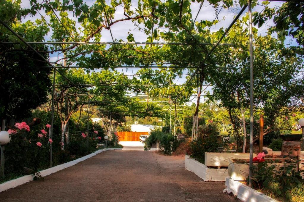 Athineos Apartments Kommeno  Ngoại thất bức ảnh