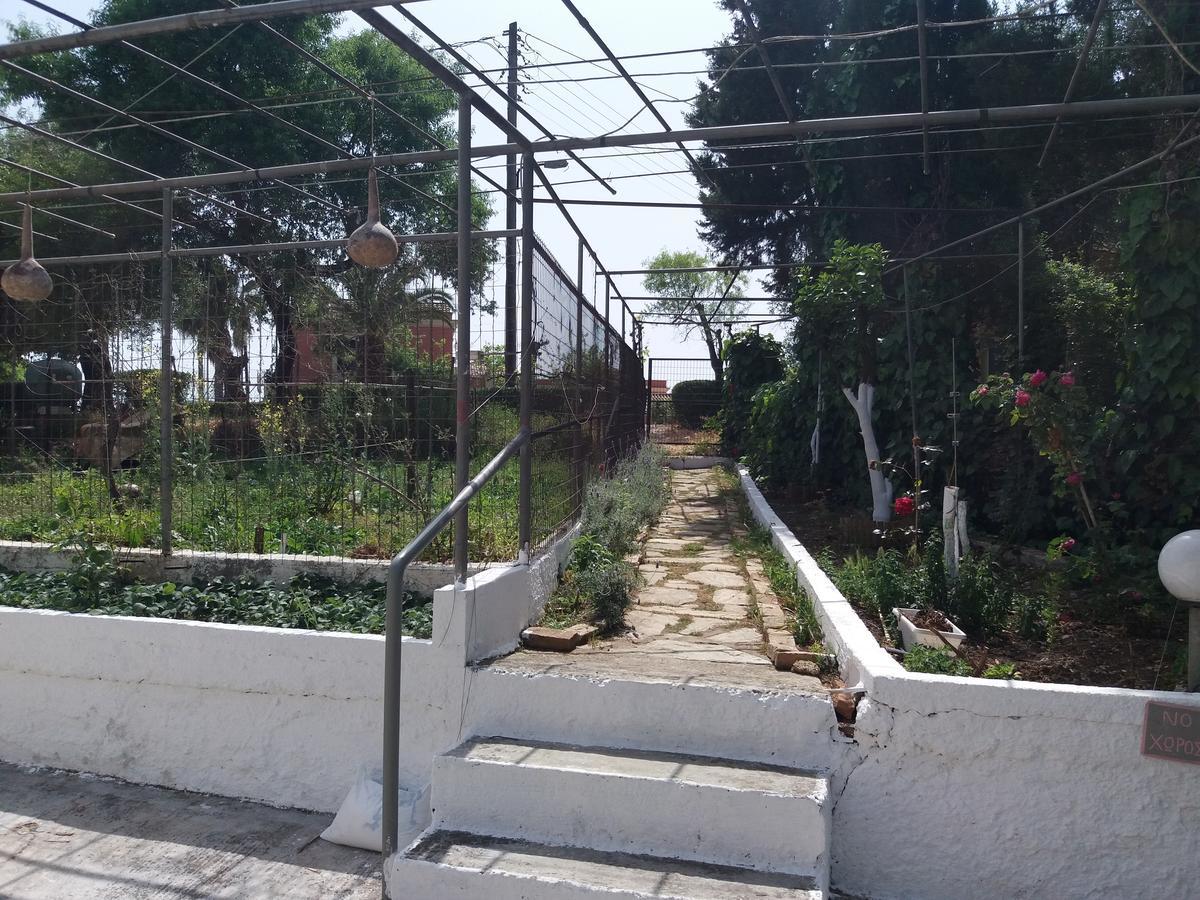 Athineos Apartments Kommeno  Ngoại thất bức ảnh